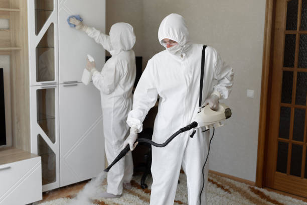 Best Industrial Mold Remediation in Sistersville, WV