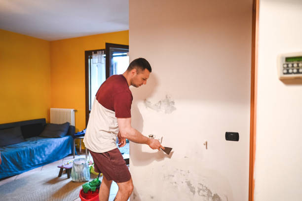Best Mold Remediation for Specific Building Types in Sistersville, WV